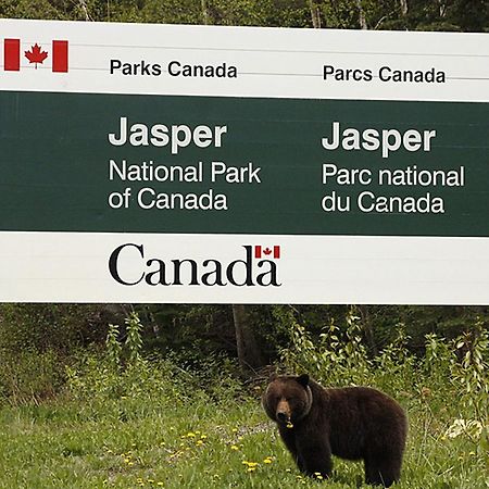 711 Miette Ave Panzió Jasper Kültér fotó