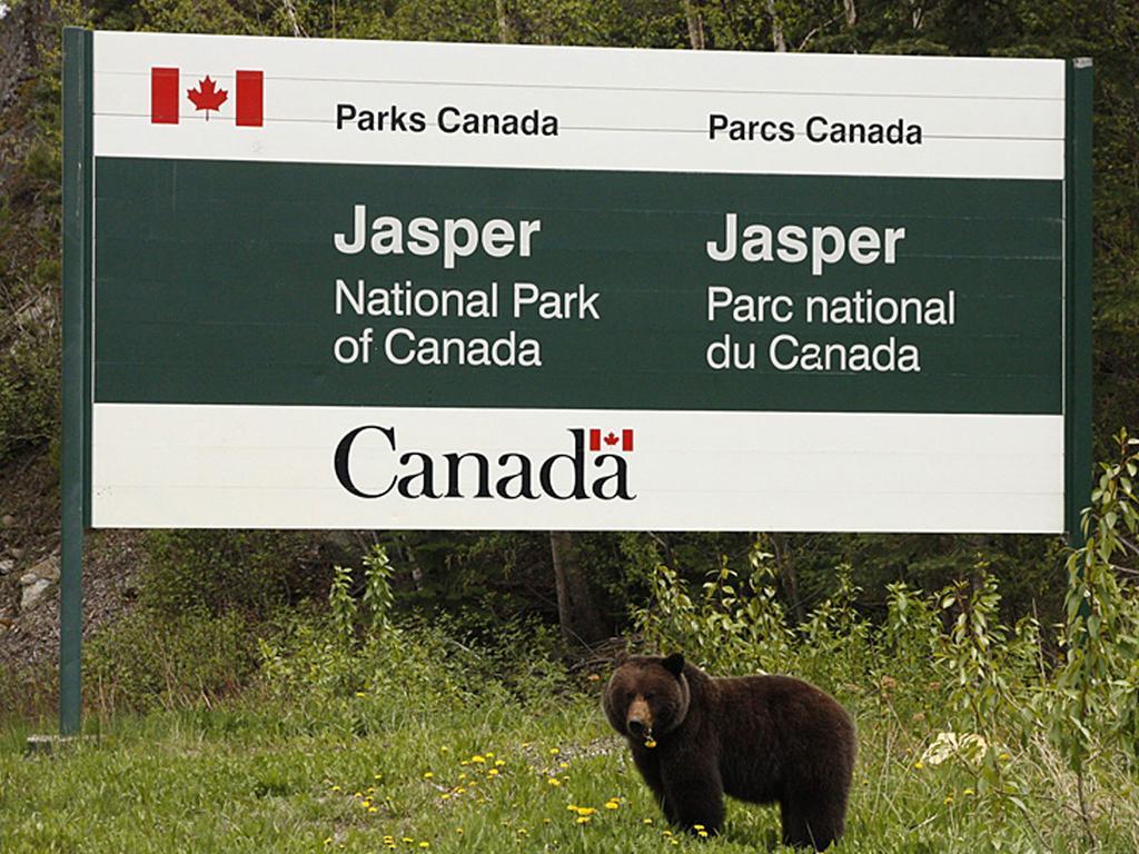 711 Miette Ave Panzió Jasper Kültér fotó